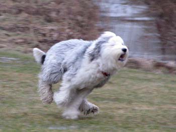 Helinä2