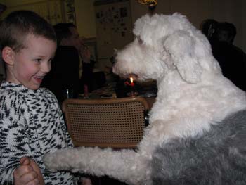 Boxing day, 6 years old Patrik with Ansa1