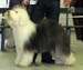 champion bitches EXC2 2nd best bitch res.CACIB Drover's Verbal Acrobat1
